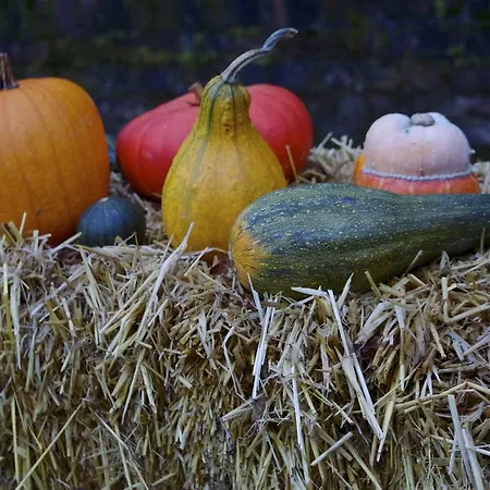 Haus Kronenthal فندق 3*