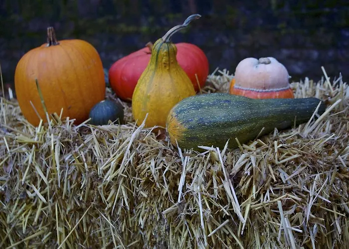 Haus Kronenthal فندق 3*